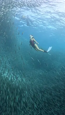 Freediving