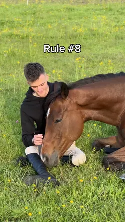 Rule #8 Equestrian