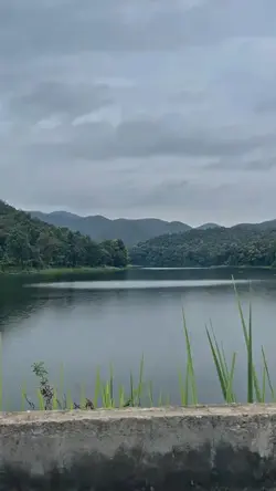ธรรมชาติบำบัดหัวใจ