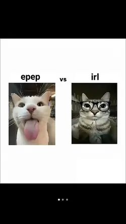 epep vs irl