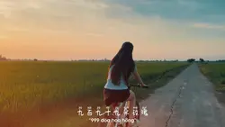 999 Đoá Hoa Hồng..