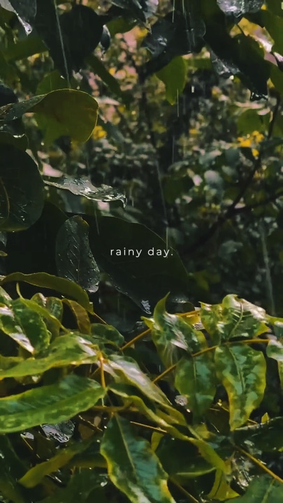 rainy day