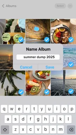 Summer Dump 2025