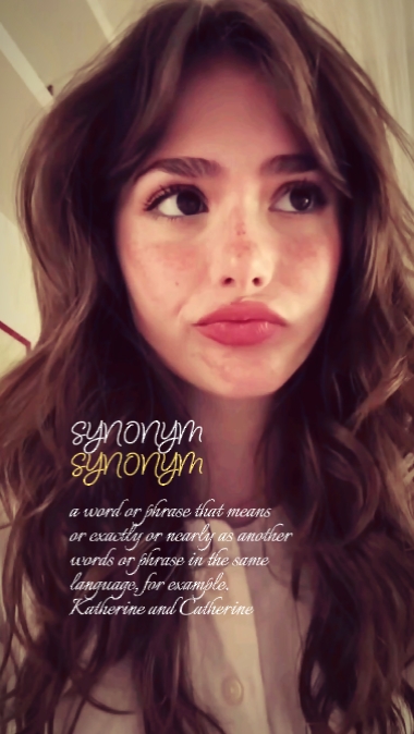 arti sinonim 