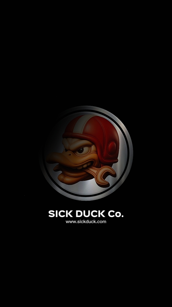 LOGOTIPO DE INTRODUCCIÓN