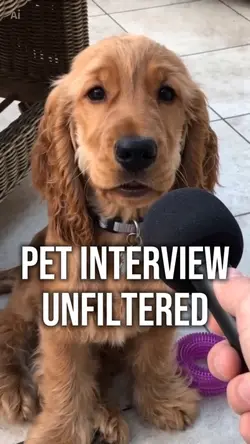 pet interview…