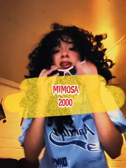 Mimosa 2000