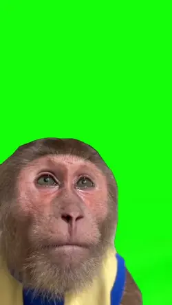 monkey crying