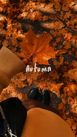 AUTUMN VIBES