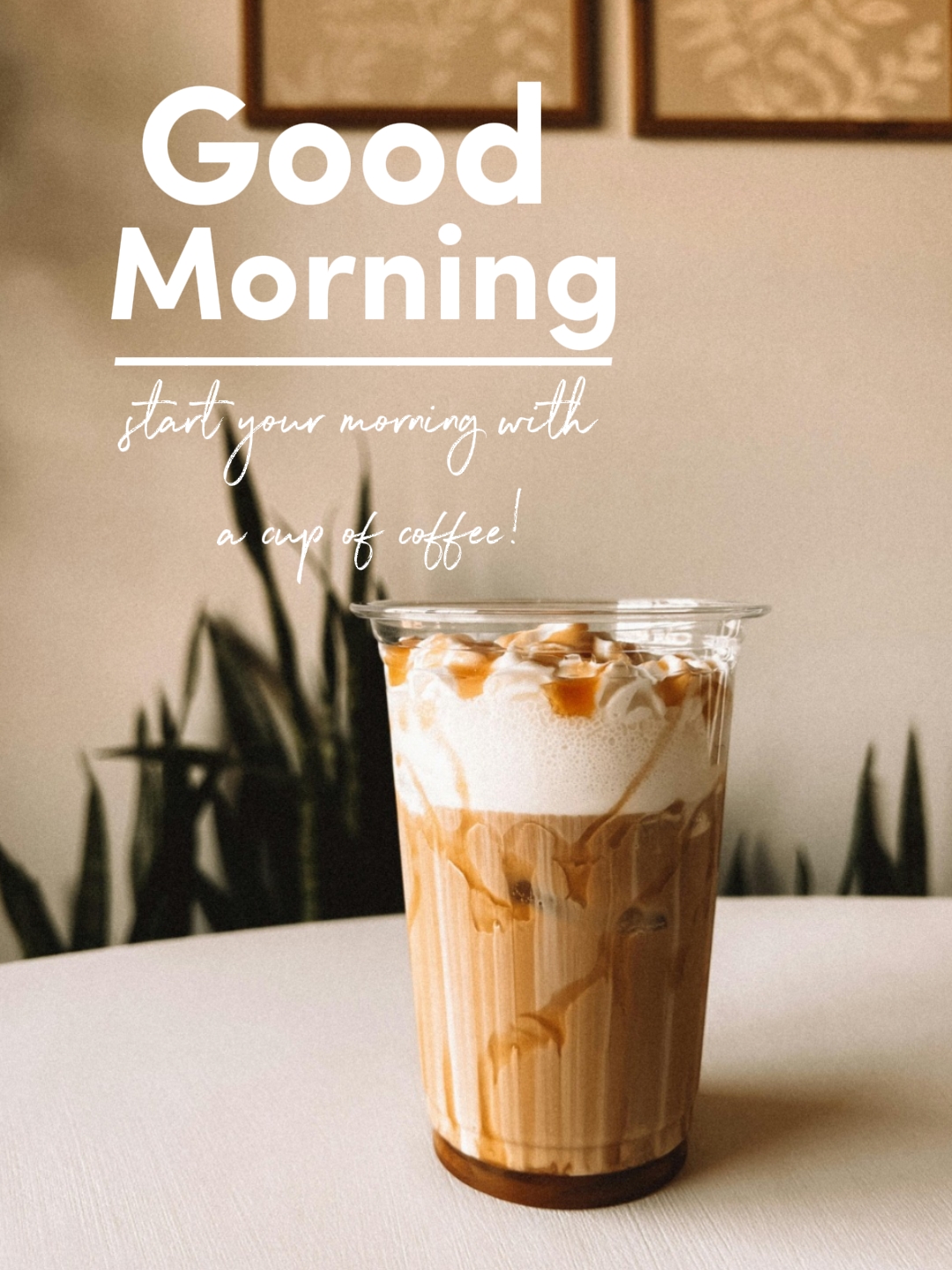 Bom Dia 