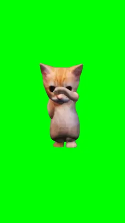 Roblox Cat Dance 
