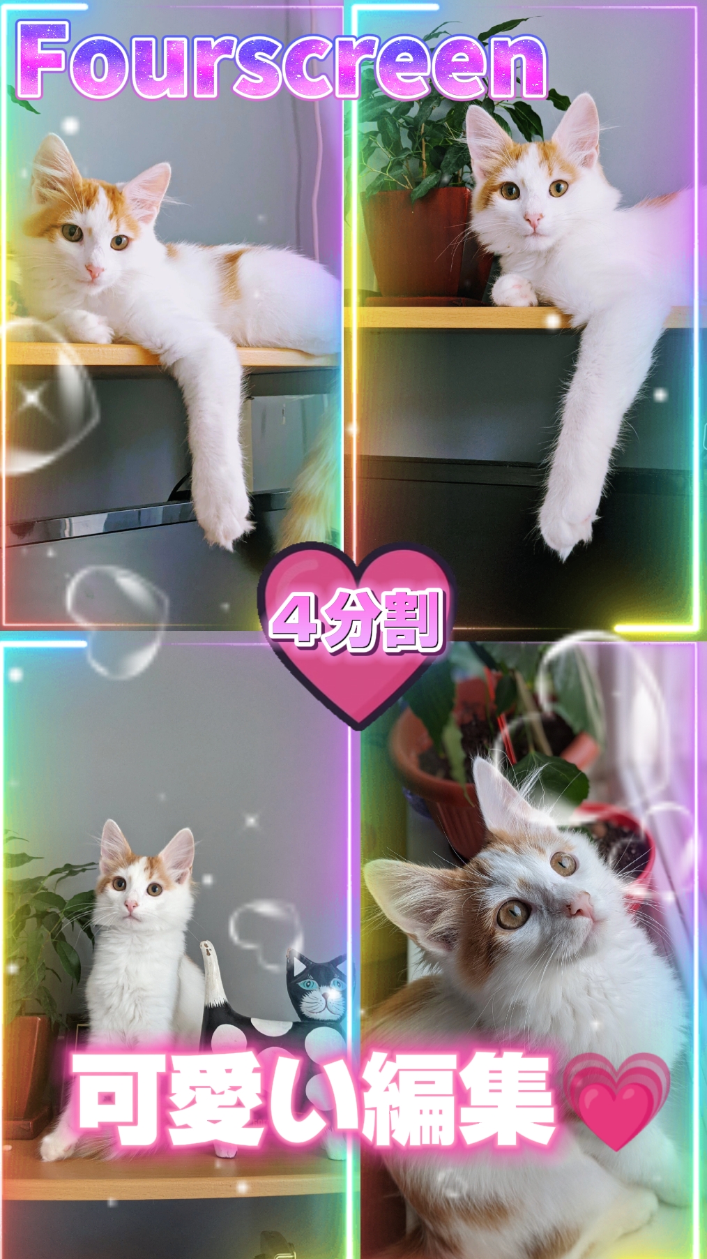 4分割/Fourscreen