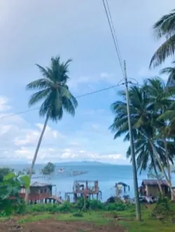 Ako na sadja💞💞