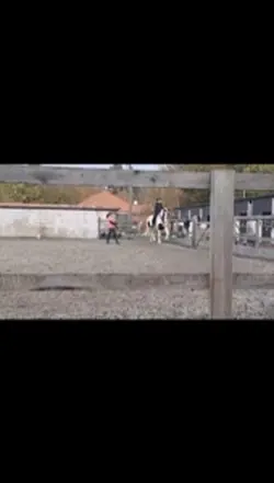 I’m not afraid of u!