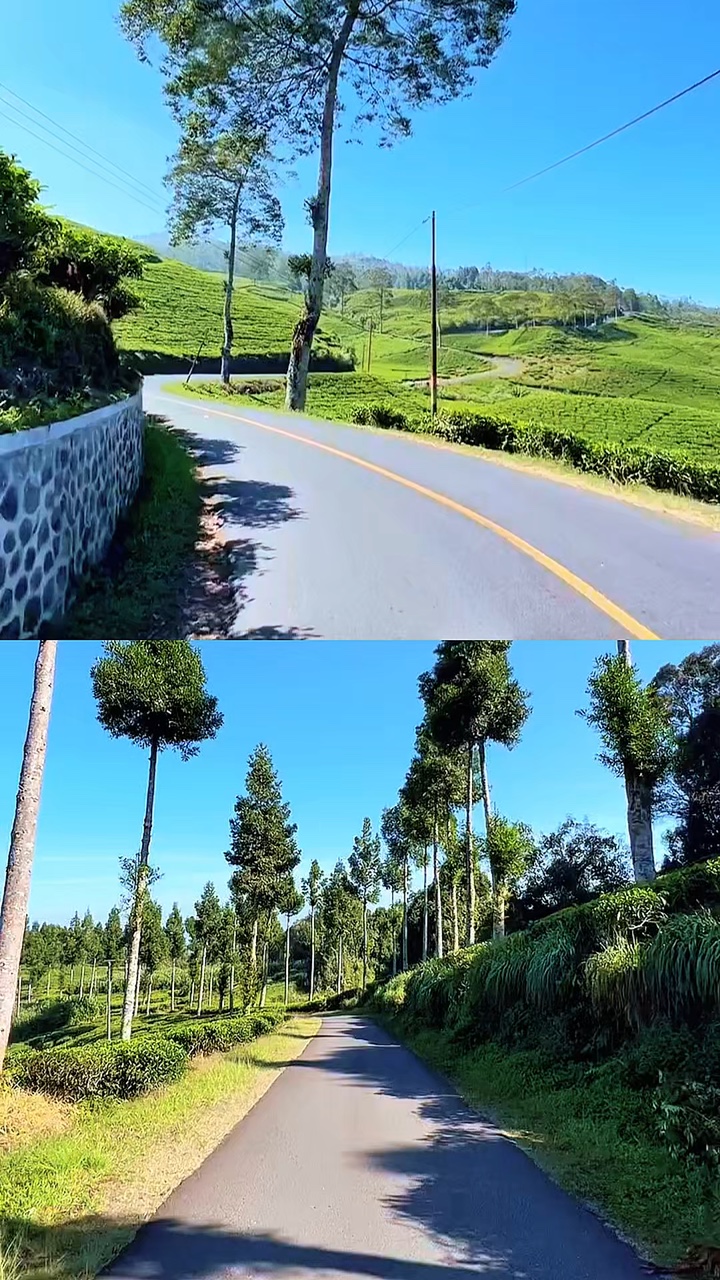 2 vídeos kolase 