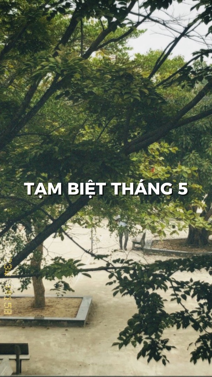 TM BIT THANG 5 🍀🍀
