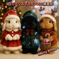 3匹でクリスマスダンスの練習会