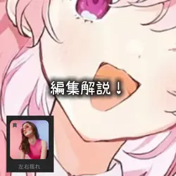 編集解説!