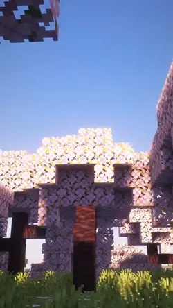 Minecraft Edit