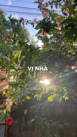 [2]vị nhà 