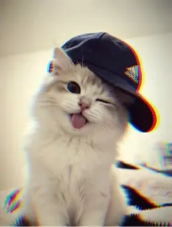 @Shine