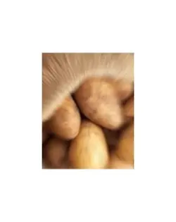 edit z ziemniokem 