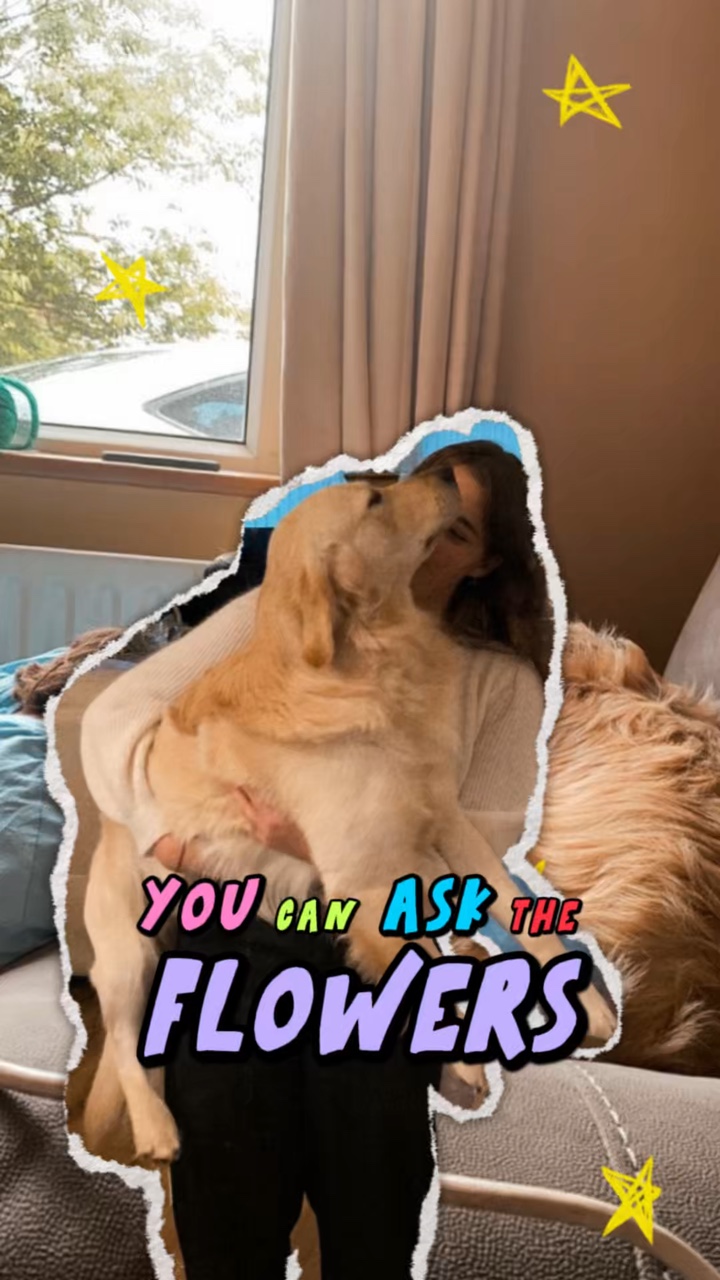 애완 동물 사랑 