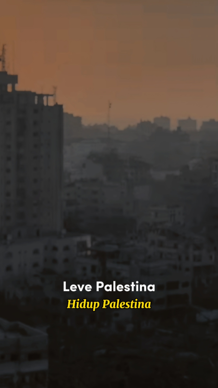 Leve palestina