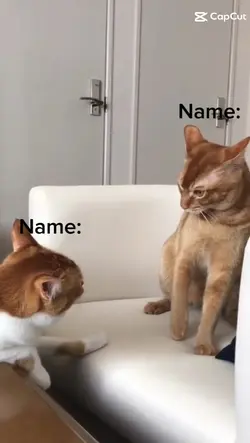 add  Name