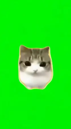 ダンダンディビディビ 素材