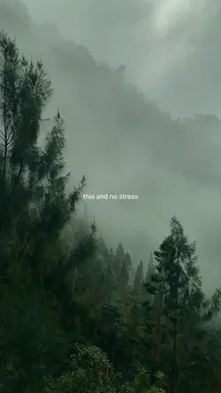 THIS AND NO STRESS
