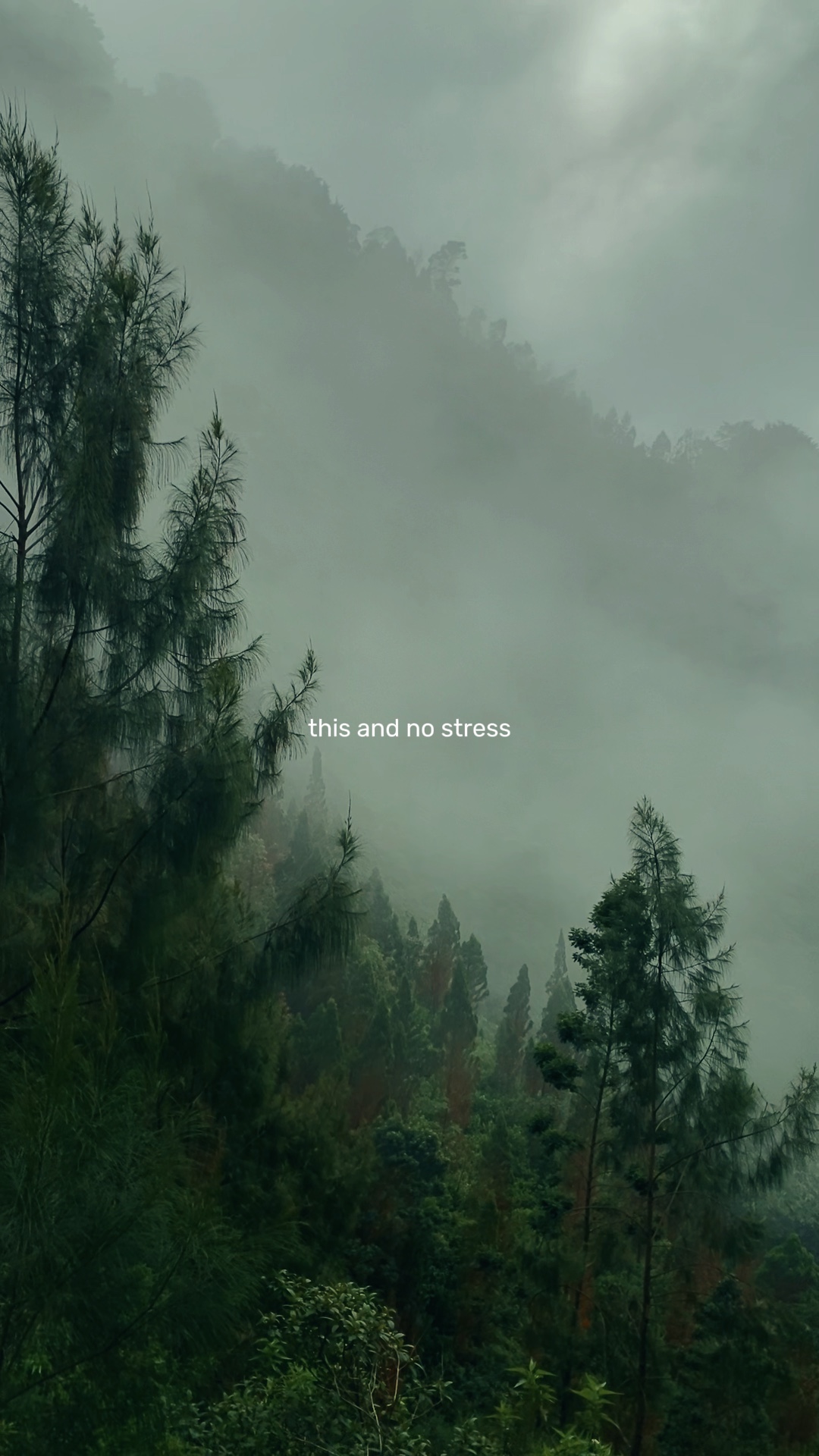 THIS AND NO STRESS 
