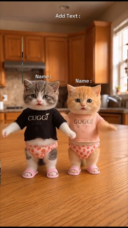 Dance Cat Trend