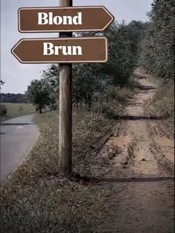 Blond or Brun