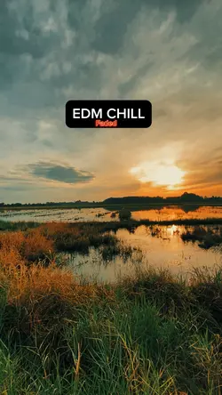 EDM FADED