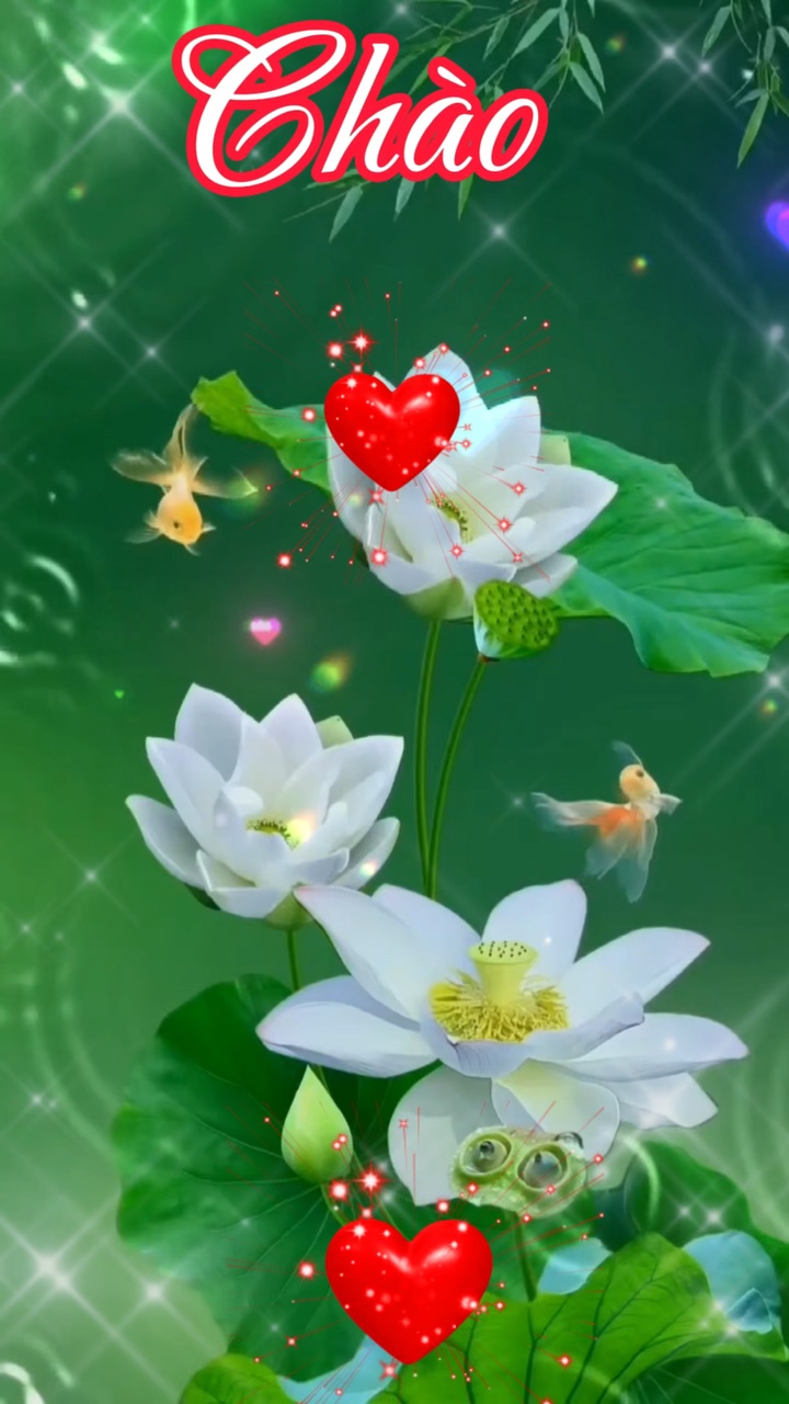 Chào buổi sáng 