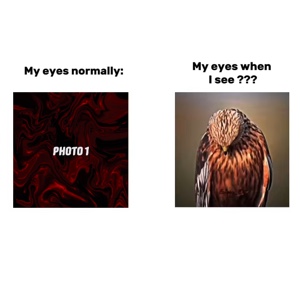 Mes yeux normalement 