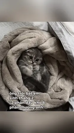 SINH THÁNG 2 🌫️