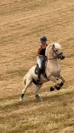 Und weg waren sie 😂