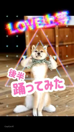 LOVE上等