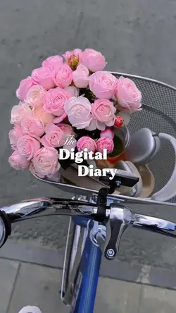 The Digital Diary 