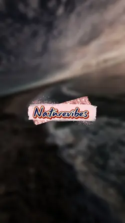Naturevibes 