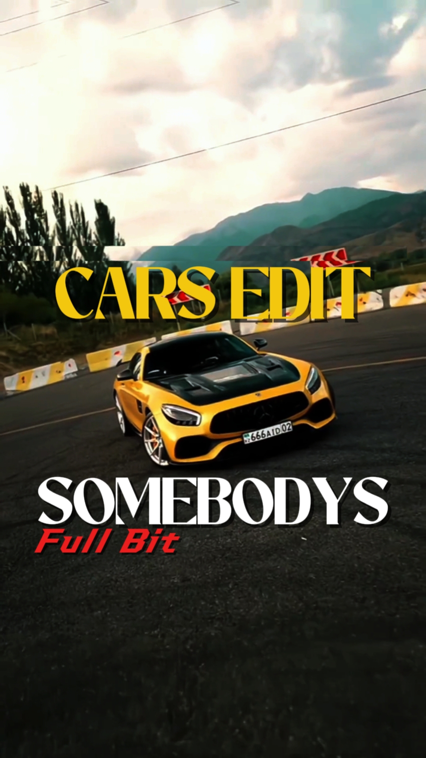 SOMEBODYS