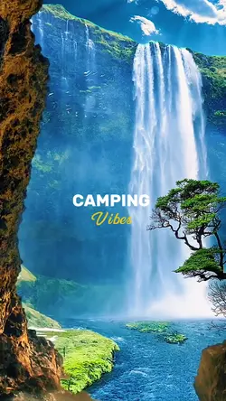 Camping Vibes 