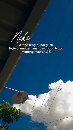 niki arahe teng pund