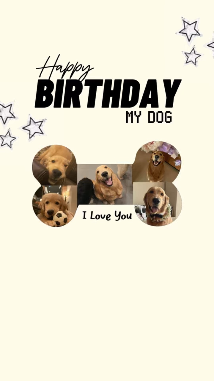 Aniversário meu cachorro