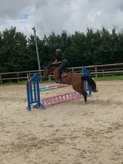 3 photos 🙂‍↕️