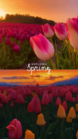 welcome spring