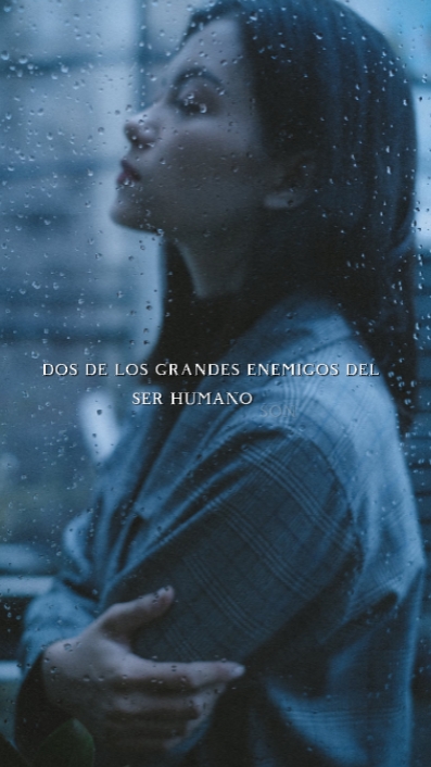 Frase