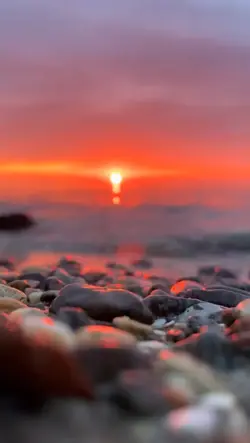 di dalam kesunyian